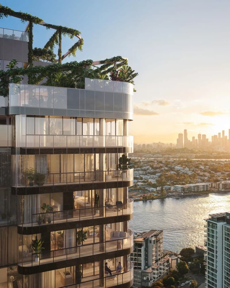 Hamilton Grove